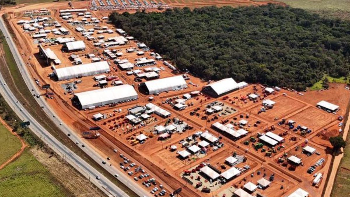 A entrada é gratuita, e as atividades seguem até a próxima sexta-feira