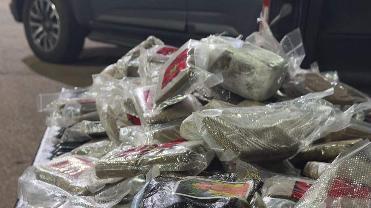 Droga estava em sacolas