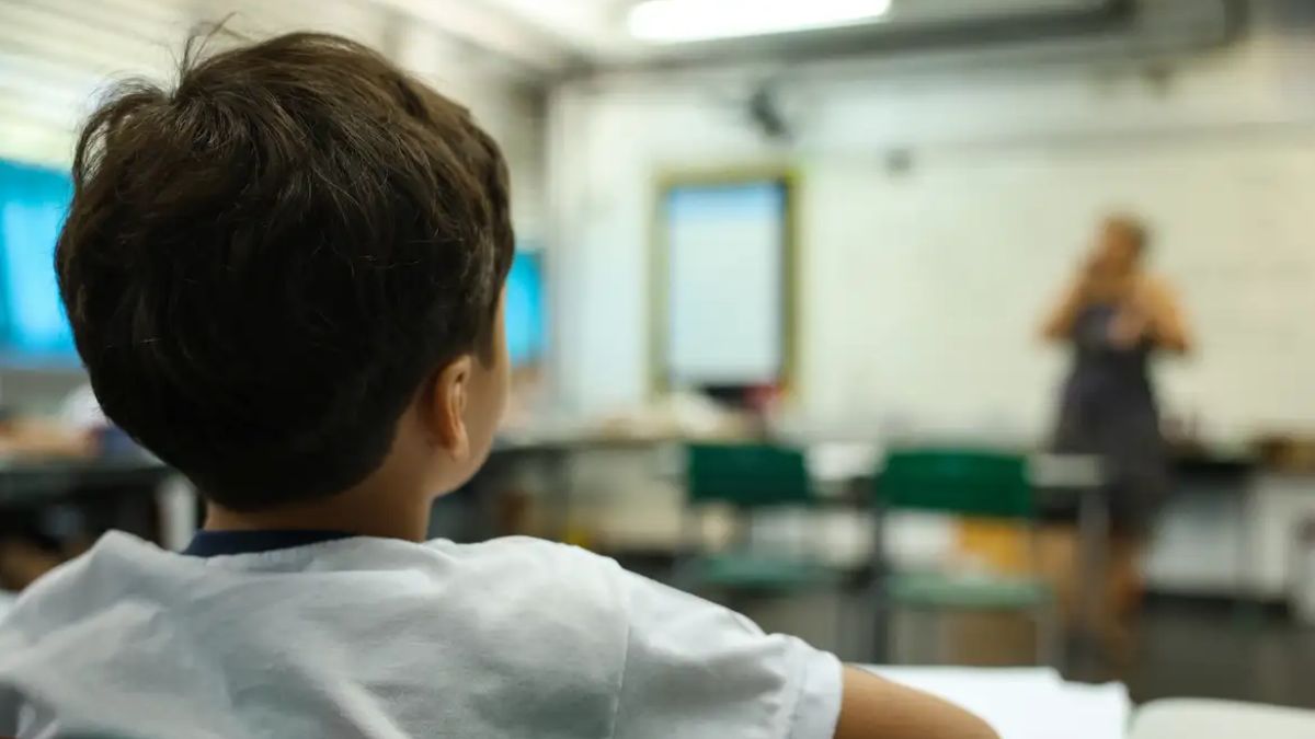 Leis municipais vetavam ensino de gênero em disciplinas obrigatórias