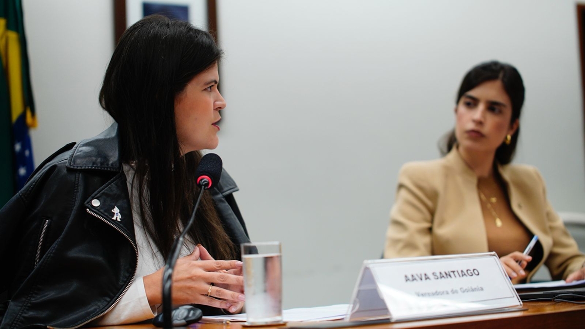 Vereadora por Goiânia participa de grupo de trabalho que analisa PL da Misogina