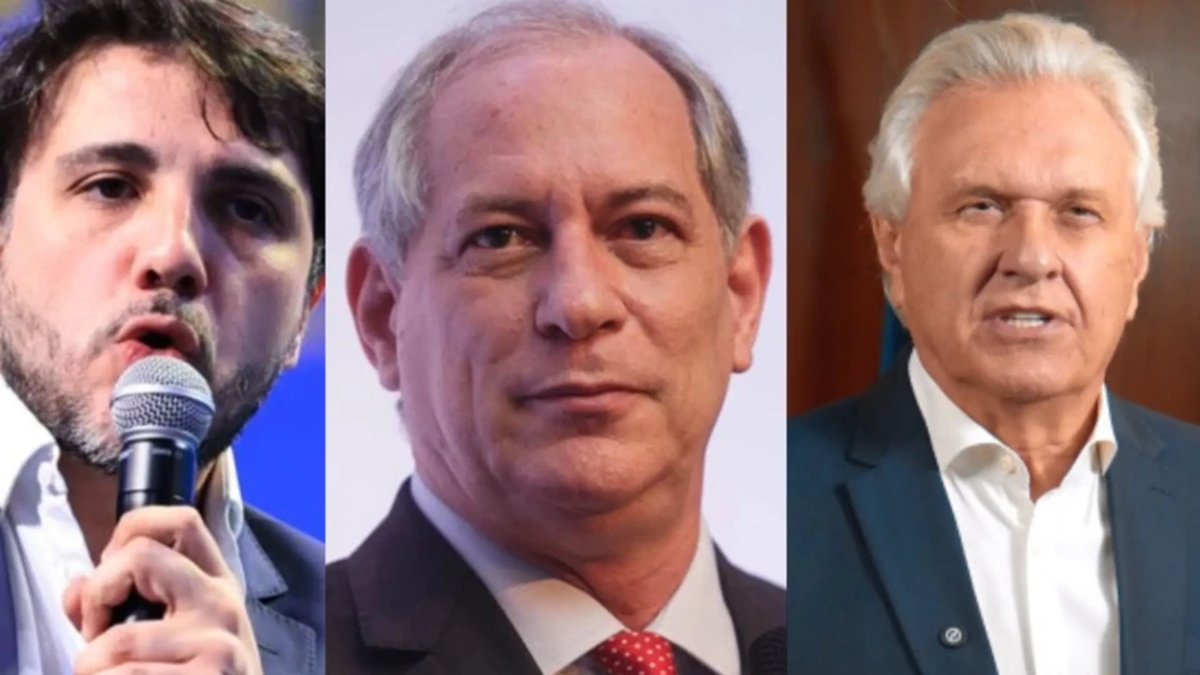 Ciro Gomes diz que pode apoiar Caiado ou Renan ao Planalto